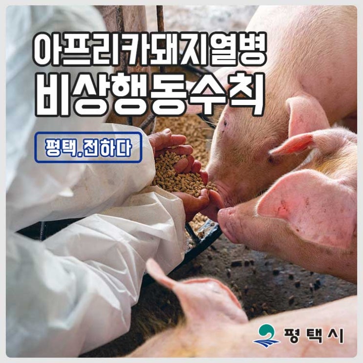 아프리카돼지열병 비상 행동수칙을 알려드립니다.