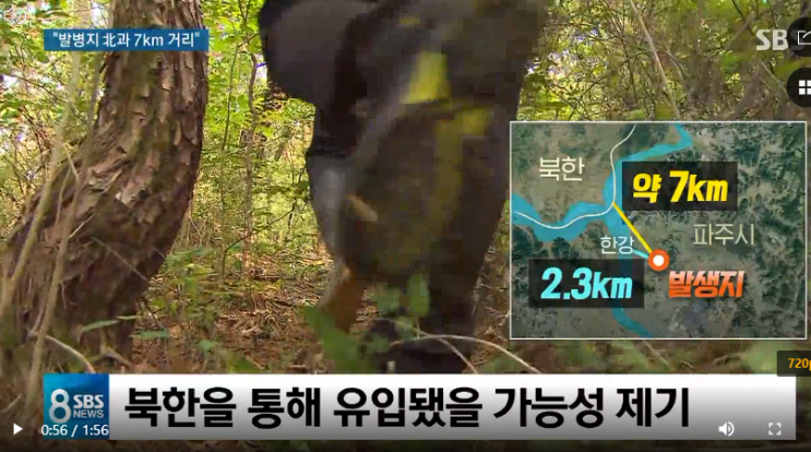  아프리카 돼지열병
