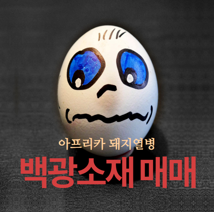  백광소재,이글벳 상한가 매매스토리