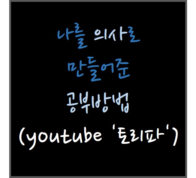  나를 의사로 만들어준 공부방법(youtube '토리파')