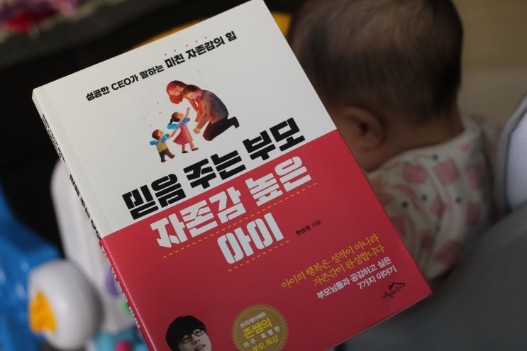  미친 자존감의힘: 믿음주는 부모 자존감 높은 아이: 현승원지음