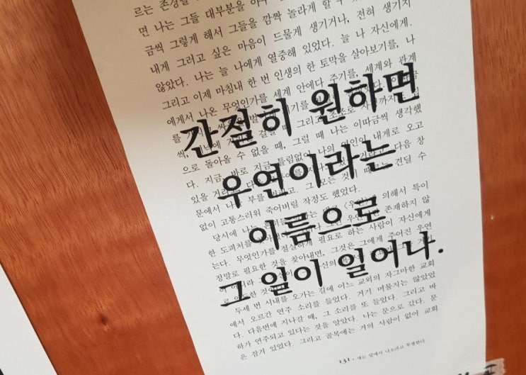  센인생샵 감사이벤트  (새이웃환영,-10/17)