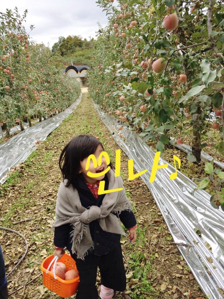 [충북제천]  아이와 여행 사과따기 체험(시민원) + 청풍 레이크호텔