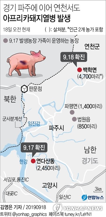  아프리카 돼지열병, 연천까지 확산: 앞으로 한 달이 고비