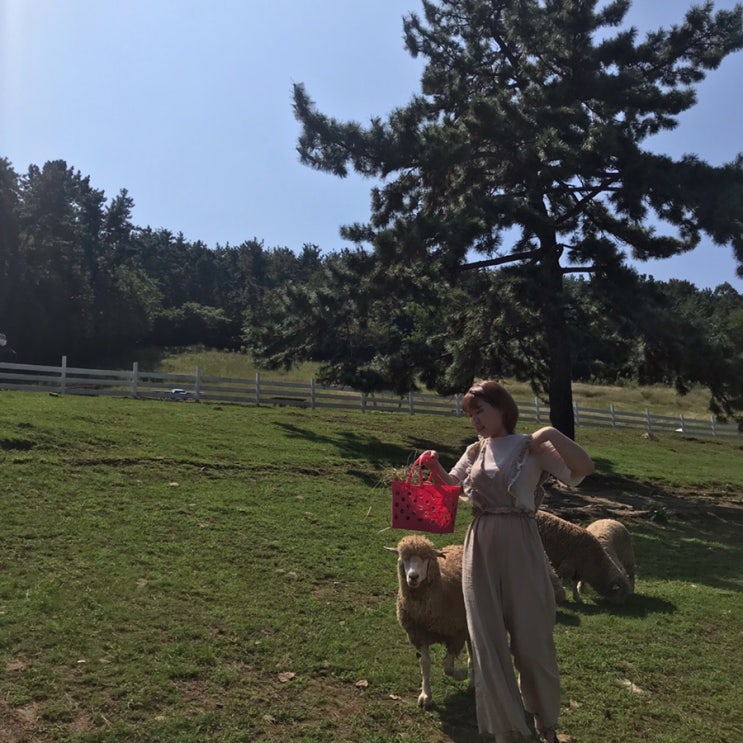  남해여행 즉흥여행 양모리학교 문항어촌체험마을 제이라운지
