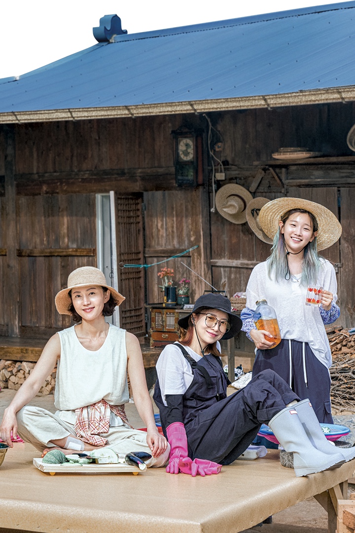  요즘 낙이 되어주었던 TV 프로그램