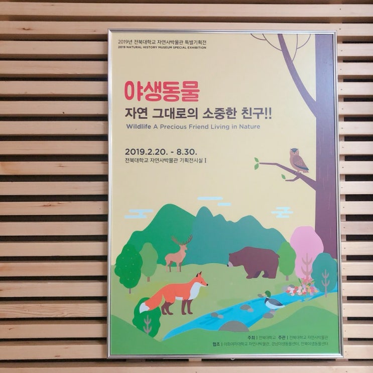  전북대학교 / 자연사박물관