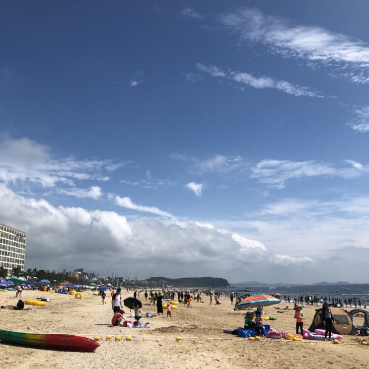  [여행]보령 대천 2박3일 우정여행 :) 보령 머드축제 . 카페 리리스 . 대천필랜드