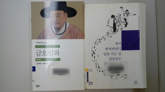  김시습 <남염부주지>, 황석영 <섬섬옥수>
