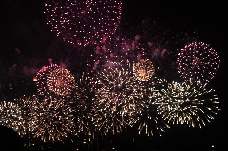  2019 여의도 불꽃축제 시간 , 명당, 라인업