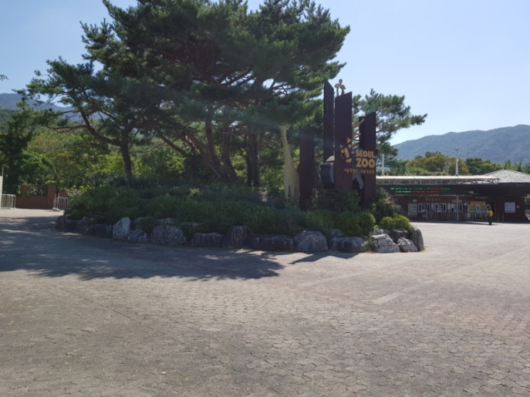  2019년9월18일 서울대공원 후기