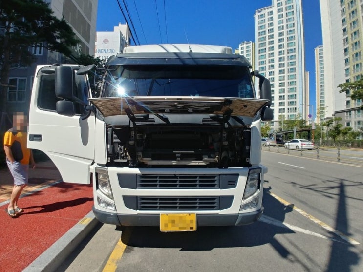 볼보트럭(4축) 로드로드(차량탑재형 중량표시기) AS 및 설치