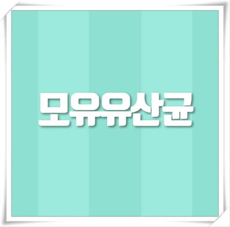  모유유산균 진정한 가성비 들어보셨나요?