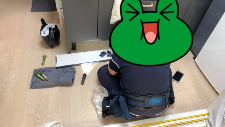  세스코 후기 _ 2개월 차
