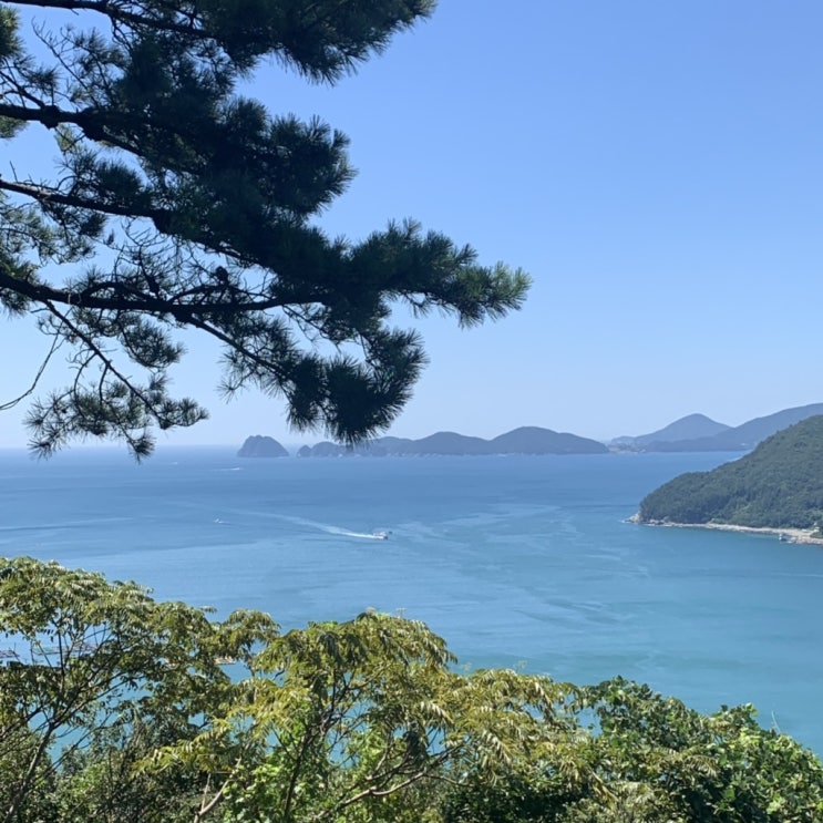  2019.08월-09월 어느날