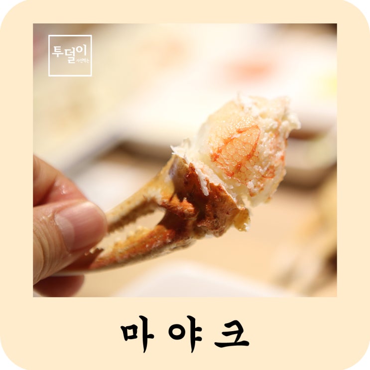  부산 대게 무한리필이 가능한 마야크