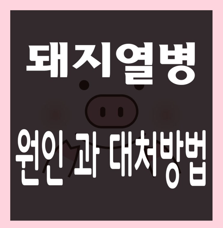  돼지열병 확산중, 원인과 대처방법은?
