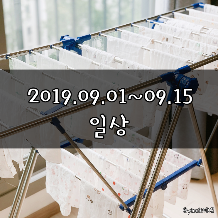 [일상] 2019.09.01~09.15_ 신혼 일상 / 임산부 일상 / 비숑사랑 / 추석 / 출산준비 / 산모교실 / 먹방