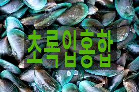  홍합효능 뉴질랜드 초록입홍합 분말로 먹어요