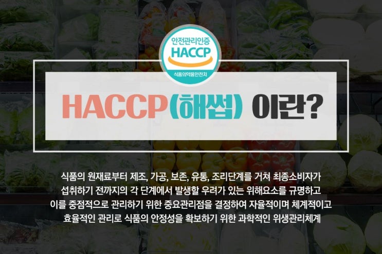  푸드케어의 안심 HACCP 관리 :)