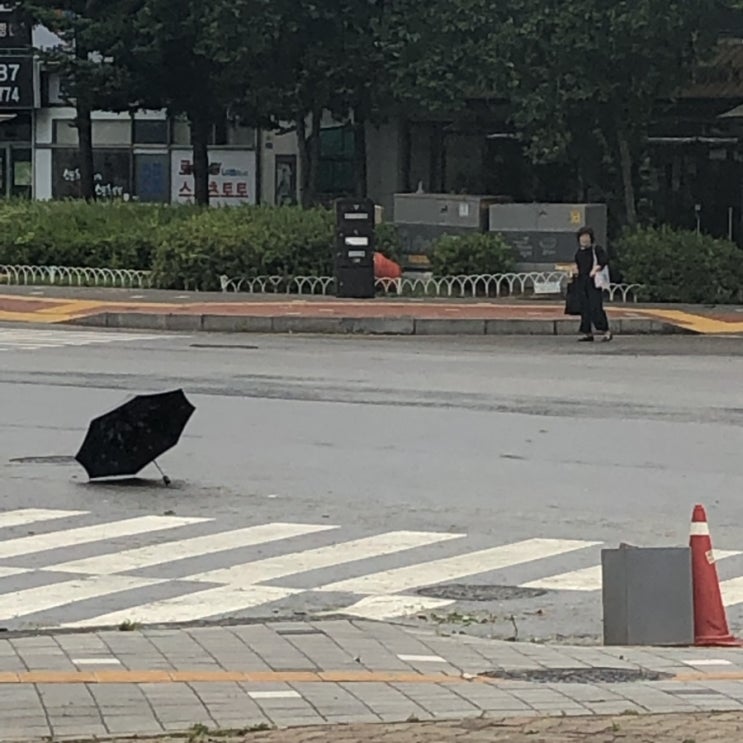  태풍 링링, 너 조금 심했어