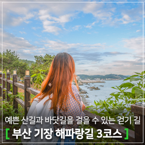  부산 걷기 좋은 길 ｜산 넘고 물 건너, 예쁜 산길과 바닷길을 걸을 수 있는 부산 기장 해파랑길 3코스