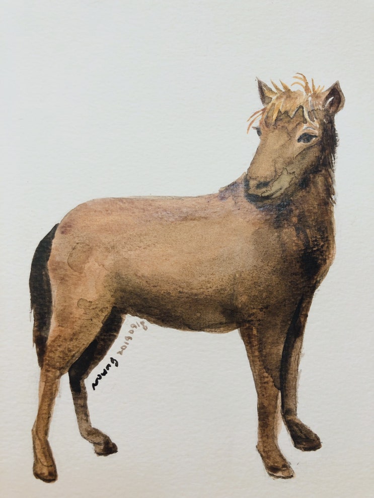  [1일1그림] 청주동물원 가서 미니포니 담아왔어요.