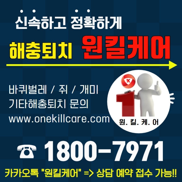  부산바퀴벌레퇴치?! 달갑지 않은 손님  해충~'사면초가'탈출법은? 역시 원킬케어!!