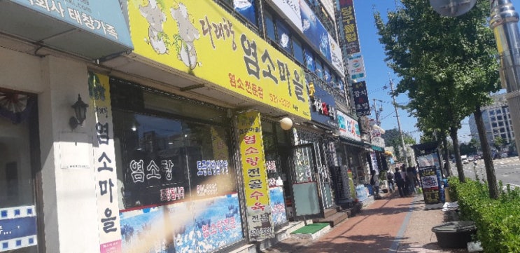  부평맛집 다래향 염소마을에서 처음 맛본 염소고기~~#@?#