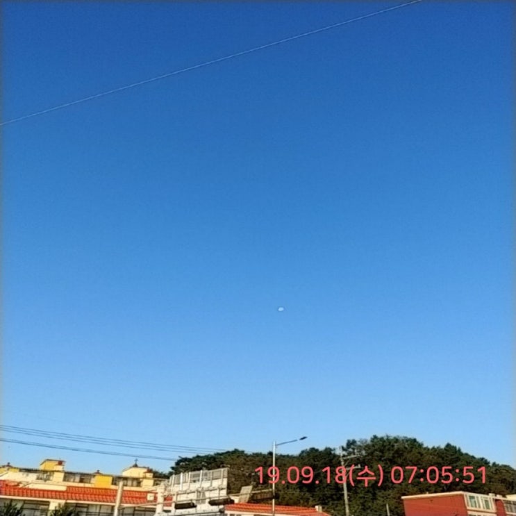  190918 저녁약속 있는 날엔 더 바쁘게 아침을 보내며 쳌쳌