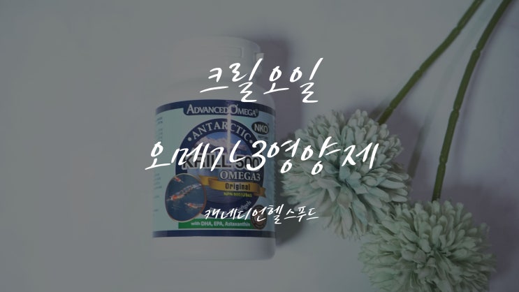  크릴오일 오메가3 먹기 시작했어요