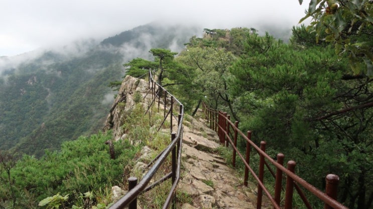  [계룡산] 닭벼슬을 단 용의 형상을 지닌 계룡산