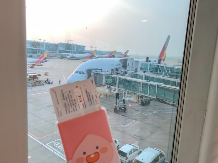 인천-방콕 :: 아시아나항공 A380 2층 탑승후기! (좌석, 기내식)