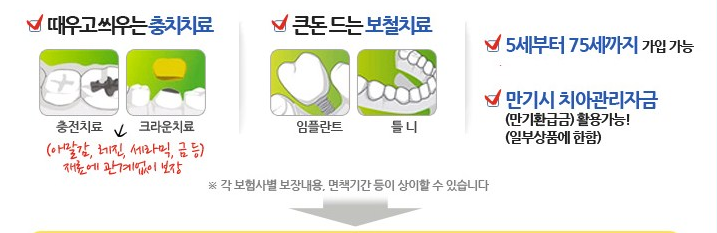 실속 있는 치아보험 치과 치료 부담 더는 치아보험료 보장 금액 계산해보세요!