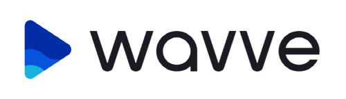 국내 최대 OTT 플랫폼 웨이브(WAVVE), OTT 시장에 웨이브(WAVE) 일으킬까