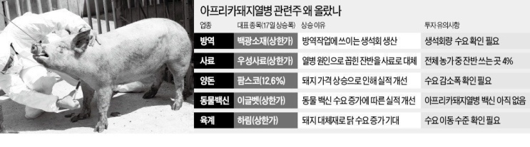  아프리카 돼지열병 확산우려 마니커/우진비앤지/백광소재/주가 분석