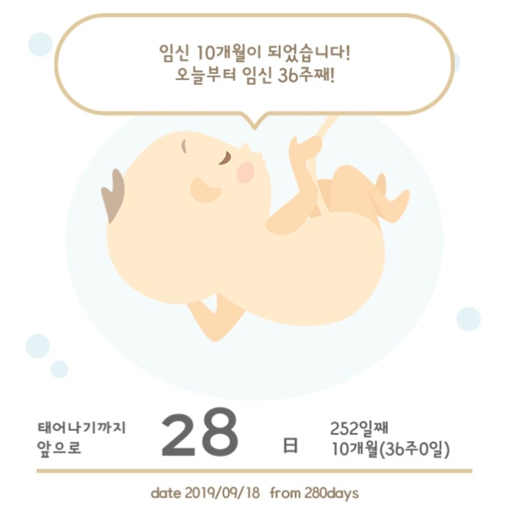  [스웨덴임신출산]임신34주6일~36주1일,골반에 잘 안착한 우리아기, 해외에서 산후조리/모유수유 하는 법