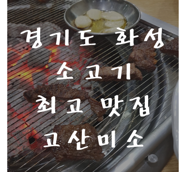 고산미소한우식당 화성점 후기 생애 최고의 소고기 맛집