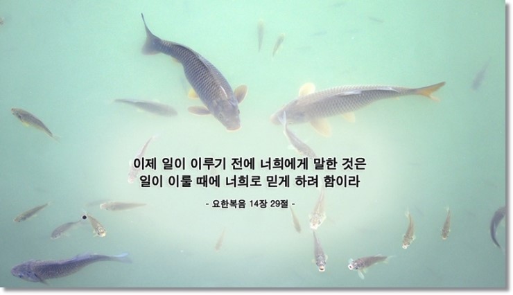  성경기준 신천지 성명서, 각 교회 목사님들과 성도님들께