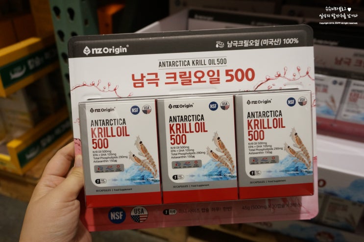  코스트코 9월 할인상품 엔젯오리진 크릴오일 샀어요!