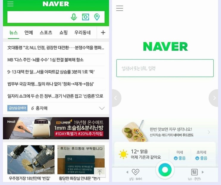네이버 역사 처음부터 파헤쳐보자 네이버 역사 처음부터 파헤쳐보자