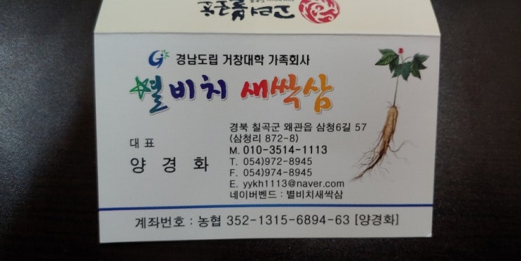  별비치 새싹삼 새싹보리 견학 다녀 왔습니다