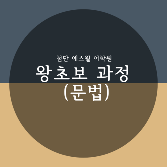  왕초보 과정 (문법)