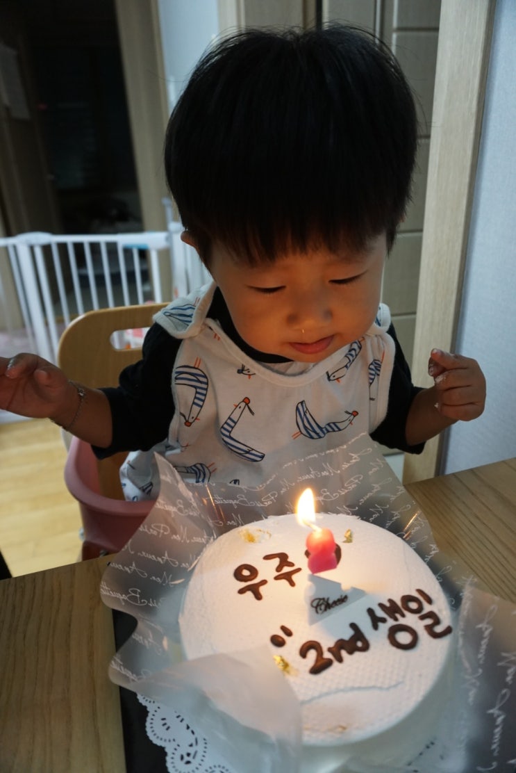  1563일 730일 :: 미리생파 / 일찍 잠든 랑이