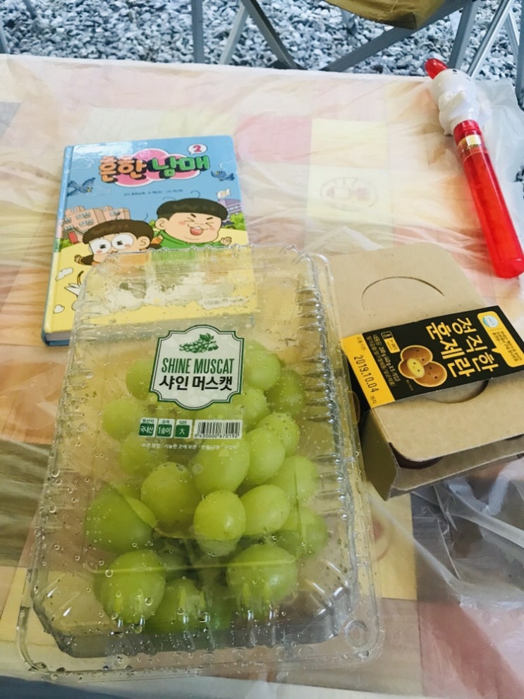  가평 솔밭펜션캠핑장 에서