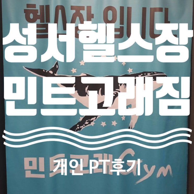  성서 헬스장 민트고래짐 개인PT 후기