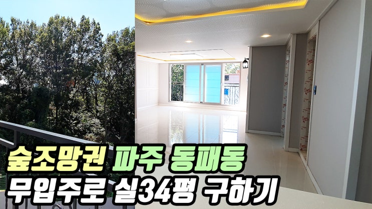  파주시 동패동 신축빌라 | 숲조망권이 있는 2억초반 큰평수 최대 무입주 가능한 현장 초중고 도보통학가능 3호선 운정역 더조은집TV