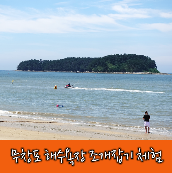  <여행지 추천> 보령 무창포 해수욕장 - 신비의 바닷길 조개잡기 체험 정리
