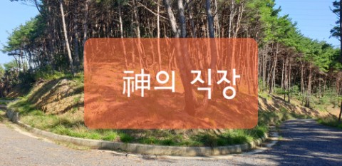  신의 직장은 있는가?