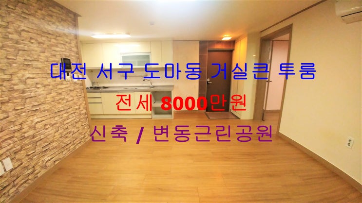  (대전 서구 도마동) 변동근린공원인근에 있는 신축 거실큰 투룸! 저렴한 전세 매물입니다 ^^